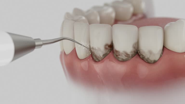 Reliable Dental contractor in Milan, IN by Dentist Open Now